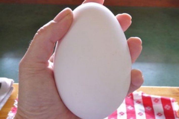 Trứng Ngỗng và Trứng Gà, Trứng Nào Thật Sự Tốt Với Mẹ Bầu?