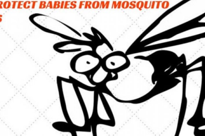 Mách Mẹ Cách Bảo Vệ Bé Khỏi Muỗi Đốt